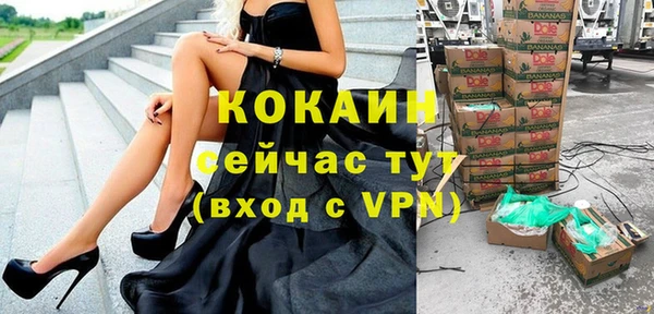 стаф Козловка