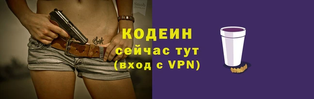 стаф Козловка
