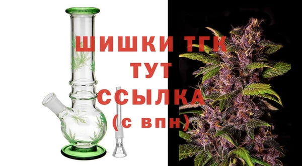 стаф Козловка