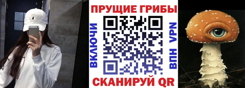 Псилоцибиновые грибы Psilocybine cubensis  Ковров 